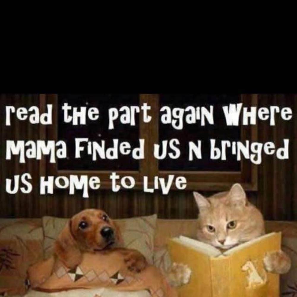 Meet your Posher, Marcia